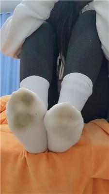 沅S贱狗进来吃主人臭袜子 250130-28