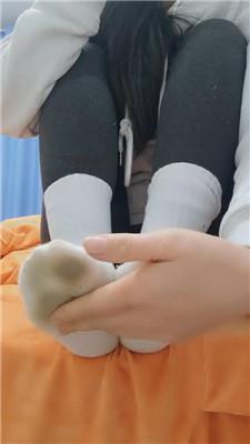 沅S贱狗进来吃主人臭袜子 250130-28