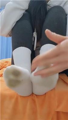 沅S贱狗进来吃主人臭袜子 250130-28