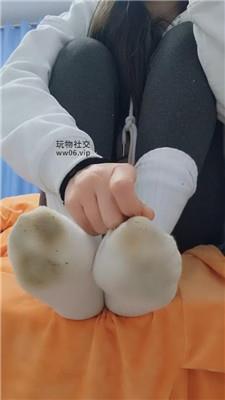 沅S贱狗进来吃主人臭袜子 250130-28