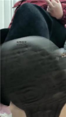 是拽拽唉废物秒设 250130-23