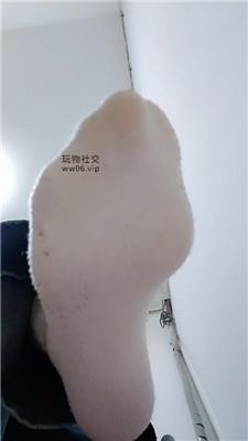 上海汤圆灯学狗叫 250202-21