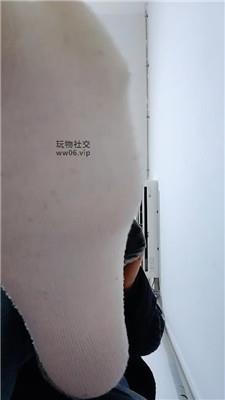 上海汤圆灯学狗叫 250202-21