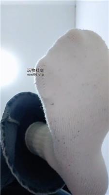 上海汤圆灯学狗叫 250202-21