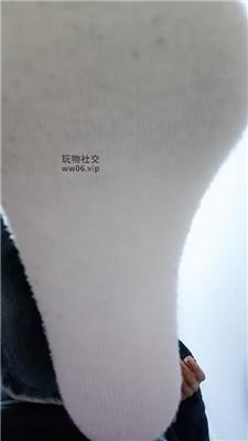 上海汤圆灯学狗叫 250202-21