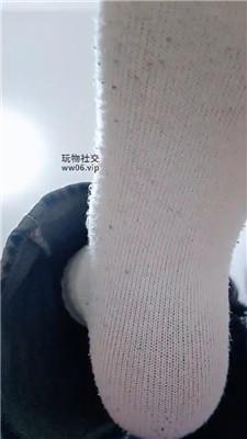 上海汤圆灯学狗叫 250202-21