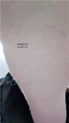 上海汤圆灯学狗叫 250202-21