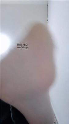 上海汤圆灯学狗叫 250202-21