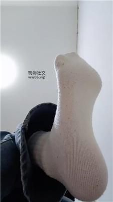 上海汤圆灯学狗叫 250202-21