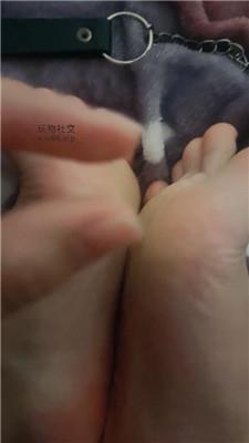 安琪导师绿帽专场开发绿帽狗 250202-3