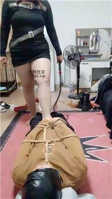 东莞心魔严刑逼供偷原味的邻居完整版 JS250203-22