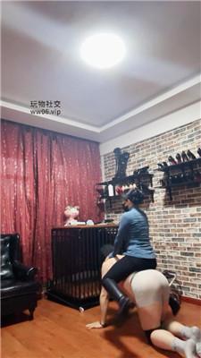 冷颜骑马驯化/闻舔白袜/长靴踩踏 JS250203-9