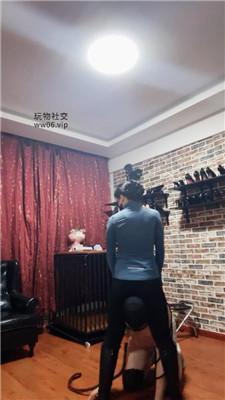 冷颜骑马驯化/闻舔白袜/长靴踩踏 JS250203-9