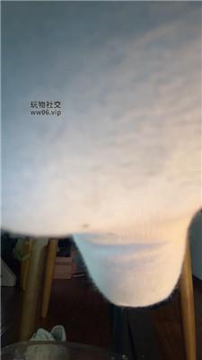 不知名超重口白袜羞辱 250127-5