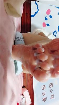 广西木木剧情灯 250213-4