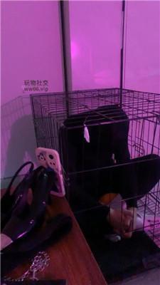 丝雯不听话就关狗笼里 JS250213-22
