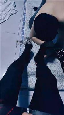 山兔莓全体重跳踩 JS250214-13