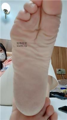 霸王花灯 250212-3