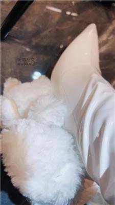 龙妈废物利用 250207-10