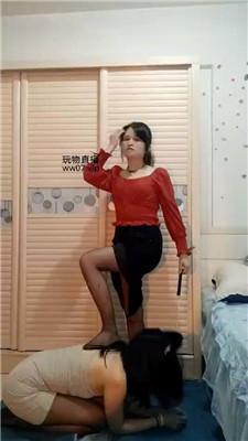 熊宝狗链遛狗女神犬 bf50778