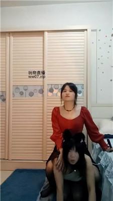 熊宝狗链遛狗女神犬 bf50778