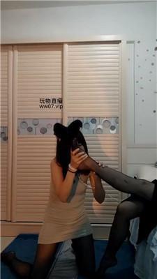 熊宝狗链遛狗女神犬 bf50778