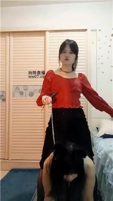 熊宝狗链遛狗女神犬 bf50778