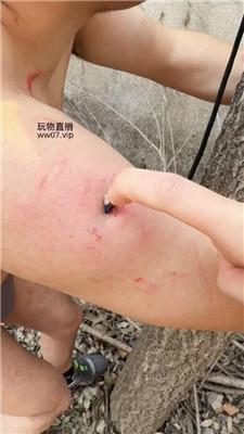 沅芷大人后院绑树上狠鞭打/抽的惨叫连连 bf50646