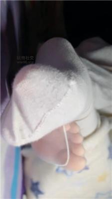 乔乔在这里冤种吐钱白给 250220-16