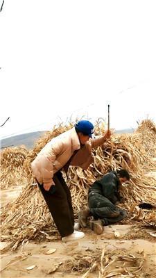 银南女帝农村户外-少妇调小叔子 JS250302-3