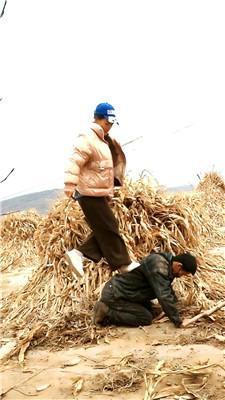 银南女帝农村户外-少妇调小叔子 JS250302-3