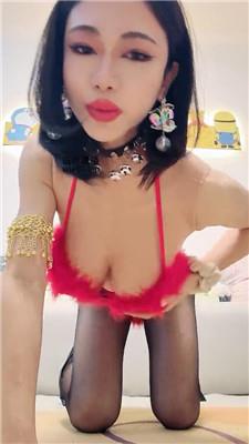 嘤嘤嘤CD凶炸 250227-23