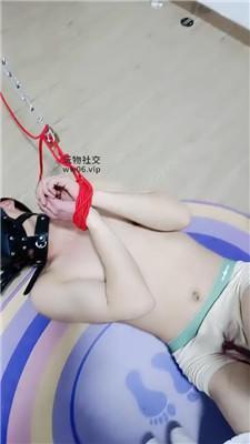 南月女神吊绑强制踩踏滴蜡 bf50464