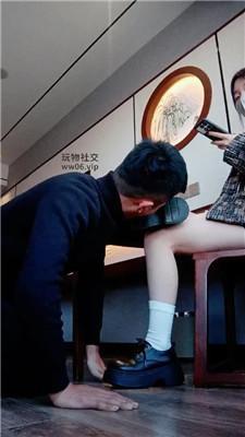 爱可小皮鞋调公狗 JS250112-56