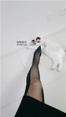 霏霏骑马鞭打/黑丝高跟踩踏双视角版 bf49284