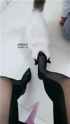 霏霏骑马鞭打/黑丝高跟踩踏双视角版 bf49284