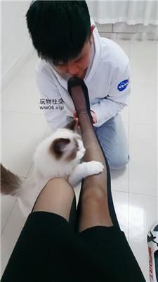 霏霏骑马鞭打/黑丝高跟踩踏双视角版 bf49284