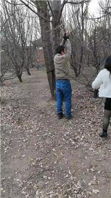 沐颜野外-捆绑树上重刑鞭打双视角版 JS250112-20