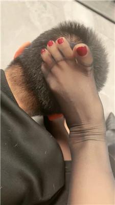 梦露男友下跪陪我直播 JS250111-22