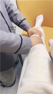 南月女神绿帽男友下跪伺候我 JS250109-10