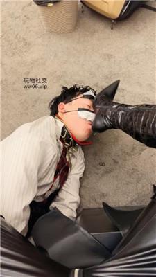 倪小主高跟长靴踩踏/狂抽耳光/骑狗背喂口水 bf49180