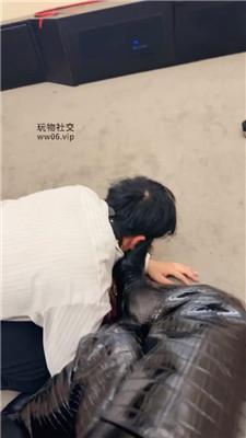 倪小主高跟长靴踩踏/狂抽耳光/骑狗背喂口水 bf49180