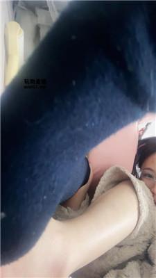 琪琪sama小狗 250308-12