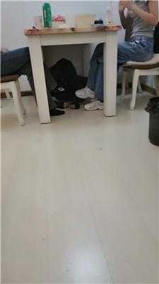 Da猫双S-桌底脏鞋伺候三视角版JS250312-30