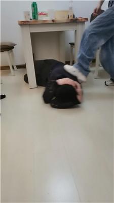 Da猫双S-桌底脏鞋伺候三视角版JS250312-30