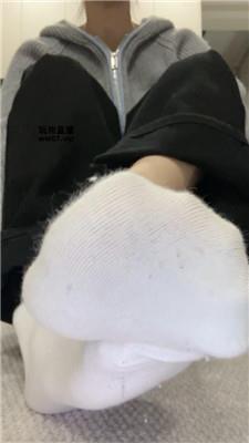 筱月畜生狗喜欢闻臭袜 250310-37