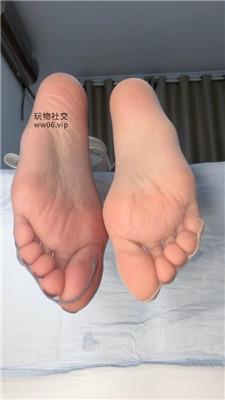 酒鸽挑战第六天灯寸 250318-5