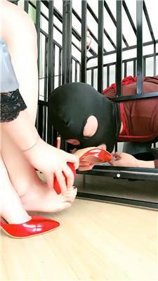 缘彼大大狗笼捆绑卑微囚禁 JS250319-38