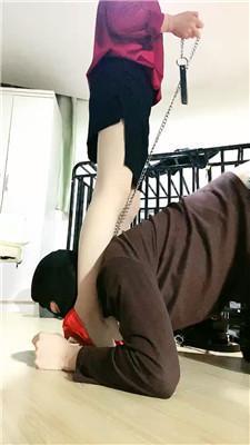 缘彼大大四肢固定犬化专场 JS250318-13