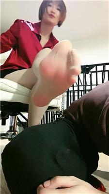 缘彼大大四肢固定犬化专场 JS250318-13